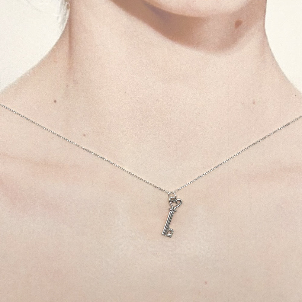 Key Charm-2499