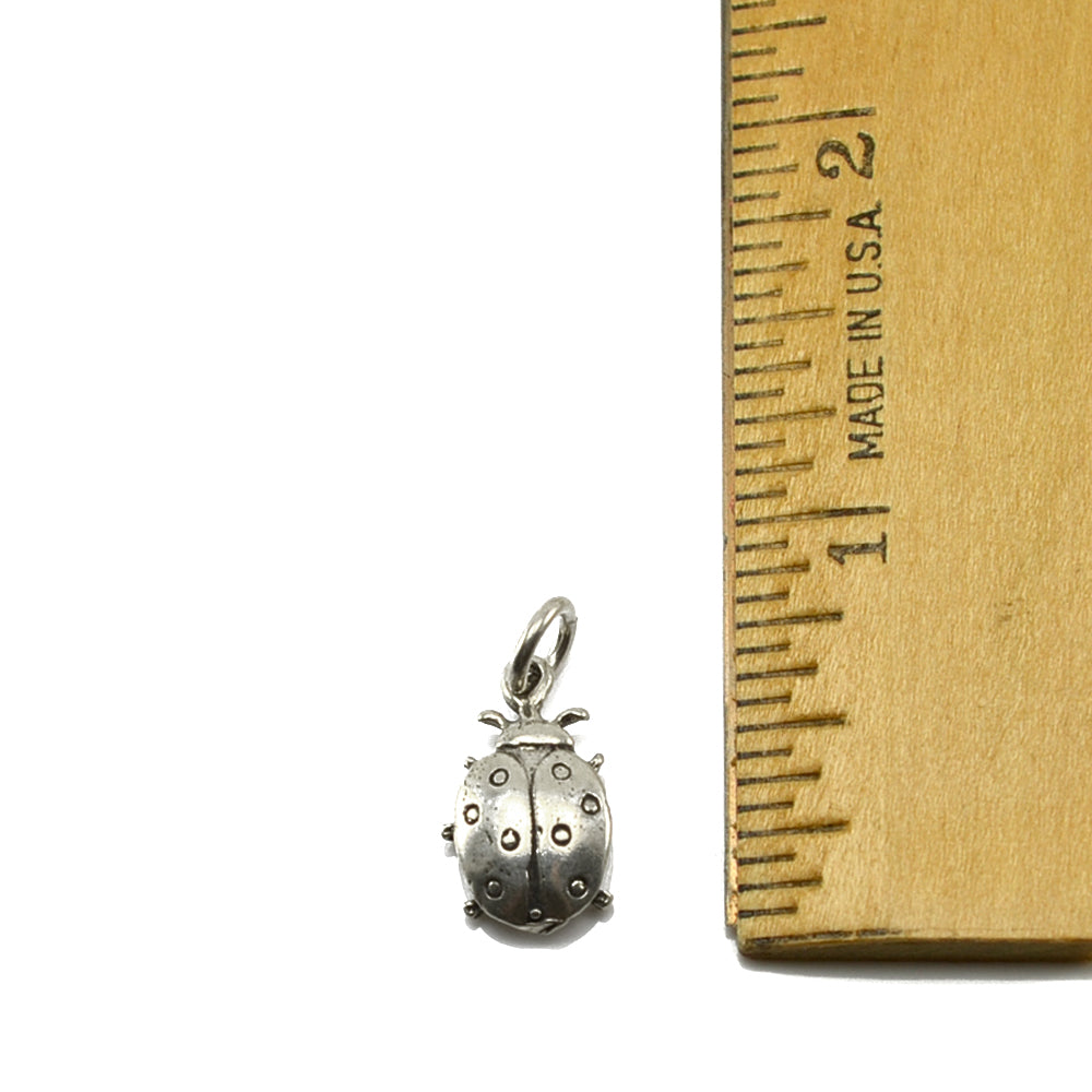 Ladybug Charm-1126