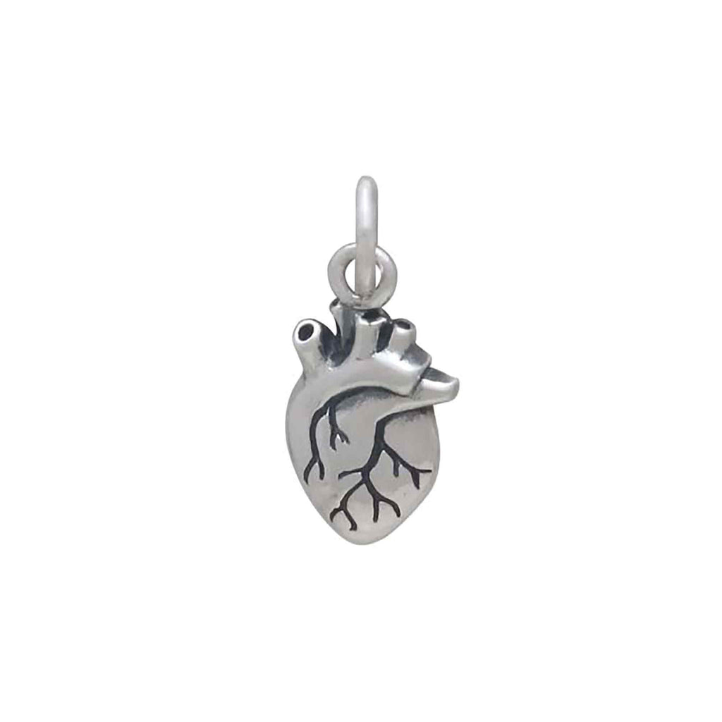 3D Anatomical Heart Charm-6594