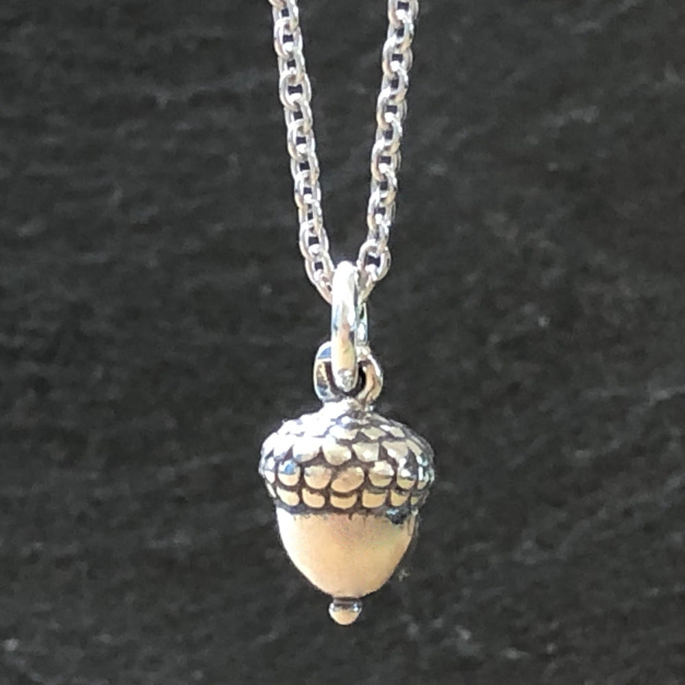Acorn Necklace-C67