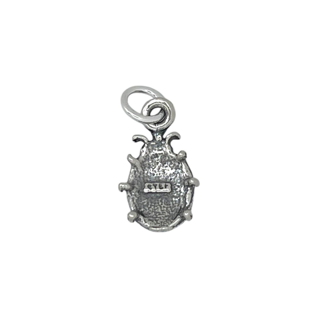 Ladybug Charm-1126
