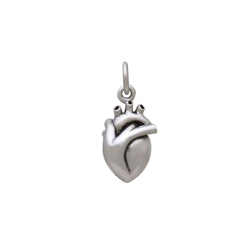 3D Anatomical Heart Charm-4161