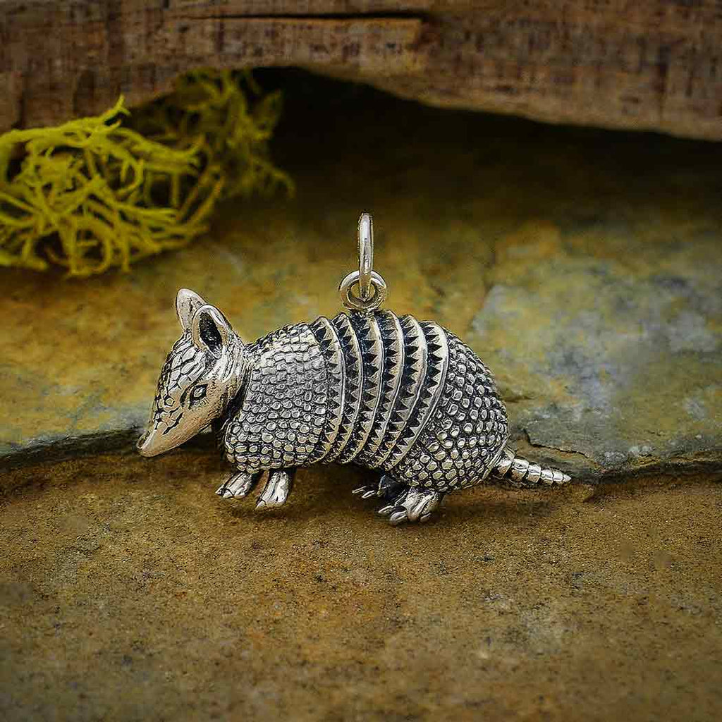 Armadillo Charm-6396
