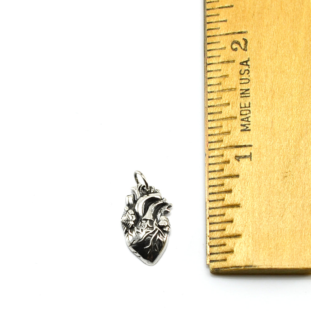 Heart Charm (Anatomical)-C55P