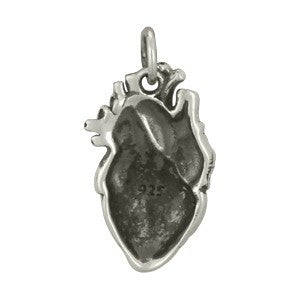Heart Charm (Anatomical)-C55P
