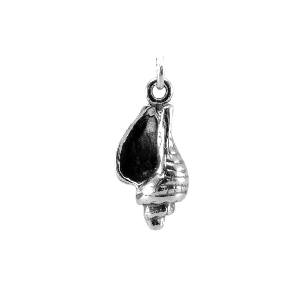 Conch Sea Shell Charm-1578P