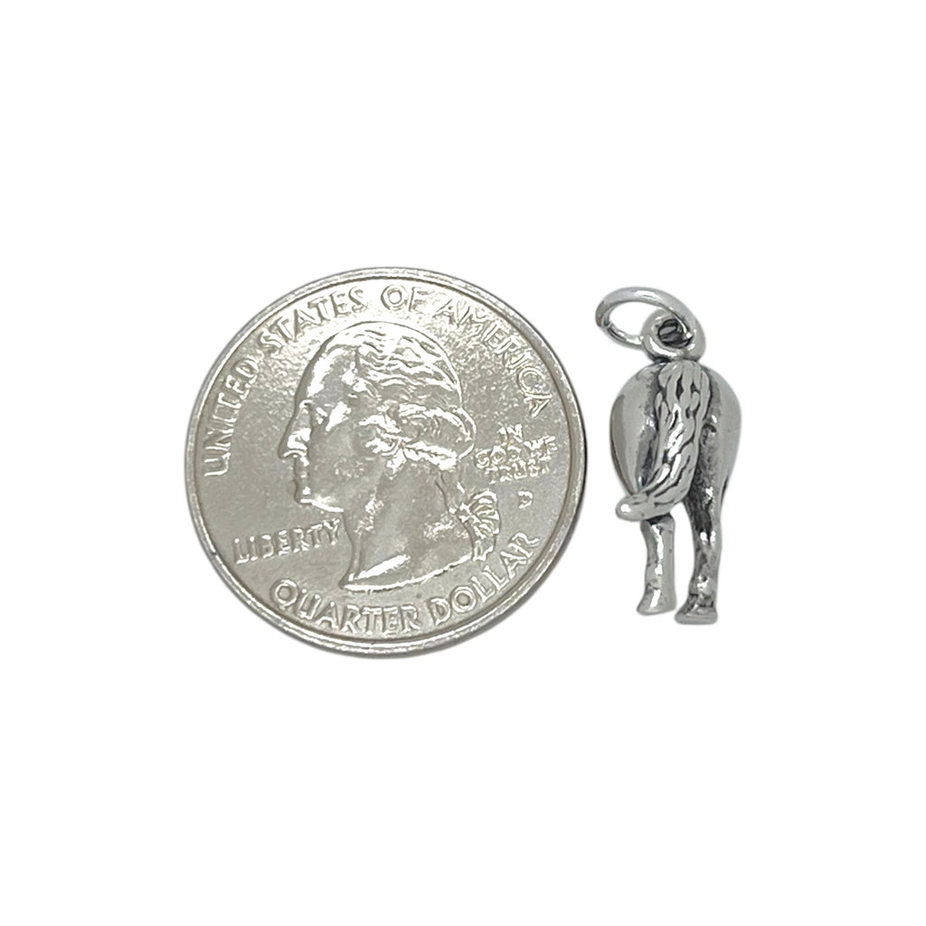 Horse's Tail Charm-3854