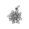 Edelweiss Flower CHARM-4096
