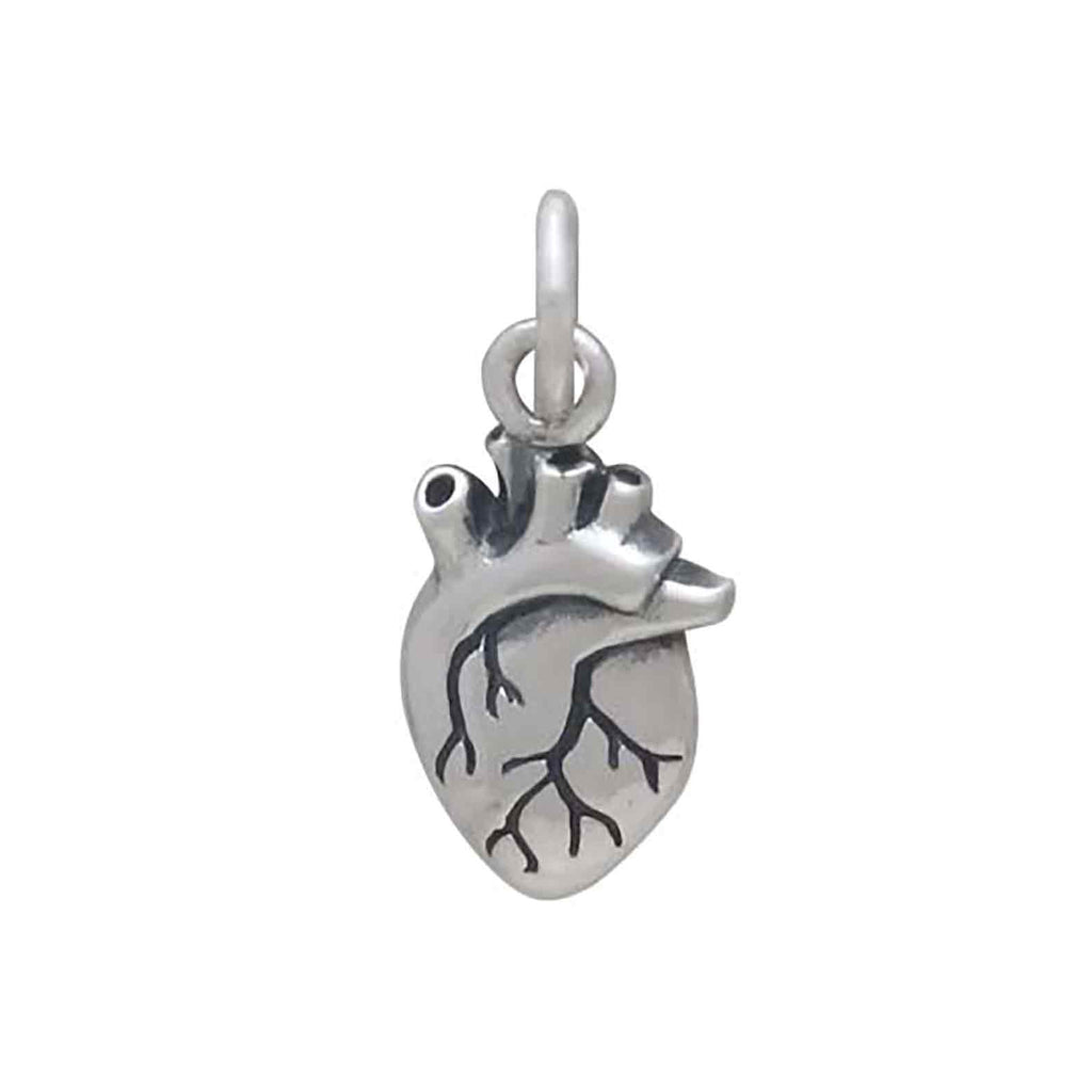 3D Anatomical Heart Charm-6594