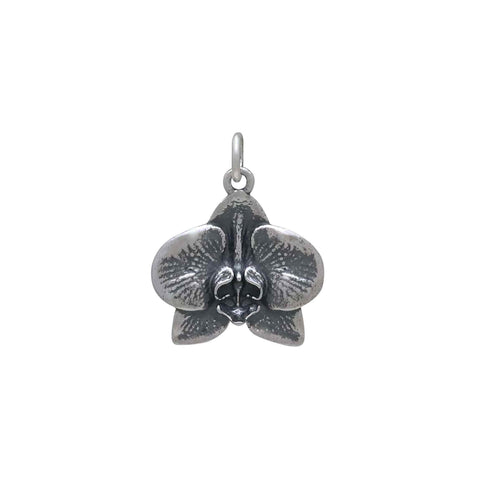 Butterfly Metamorphosis Pendant-7109