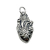 Heart Charm (3D Anatomical)-C42