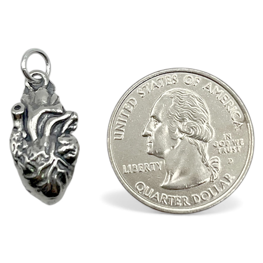 Heart Charm (3D Anatomical)-C42P