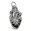 Heart Charm (3D Anatomical)-C42