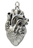 Heart Charm (3D Anatomical)-C42