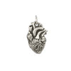 Heart Charm (Anatomical)-C55P