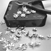 Clover Charm-C109