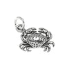 Crab Charm-C118