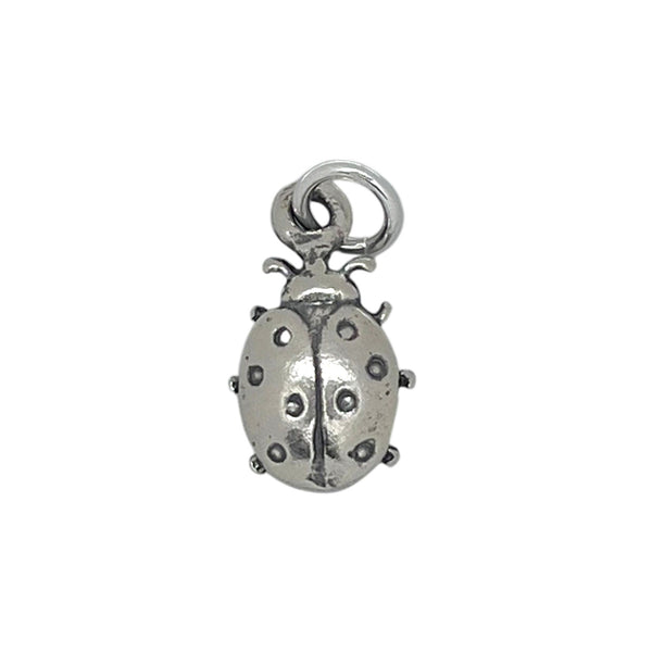 Ladybug Charm-1126