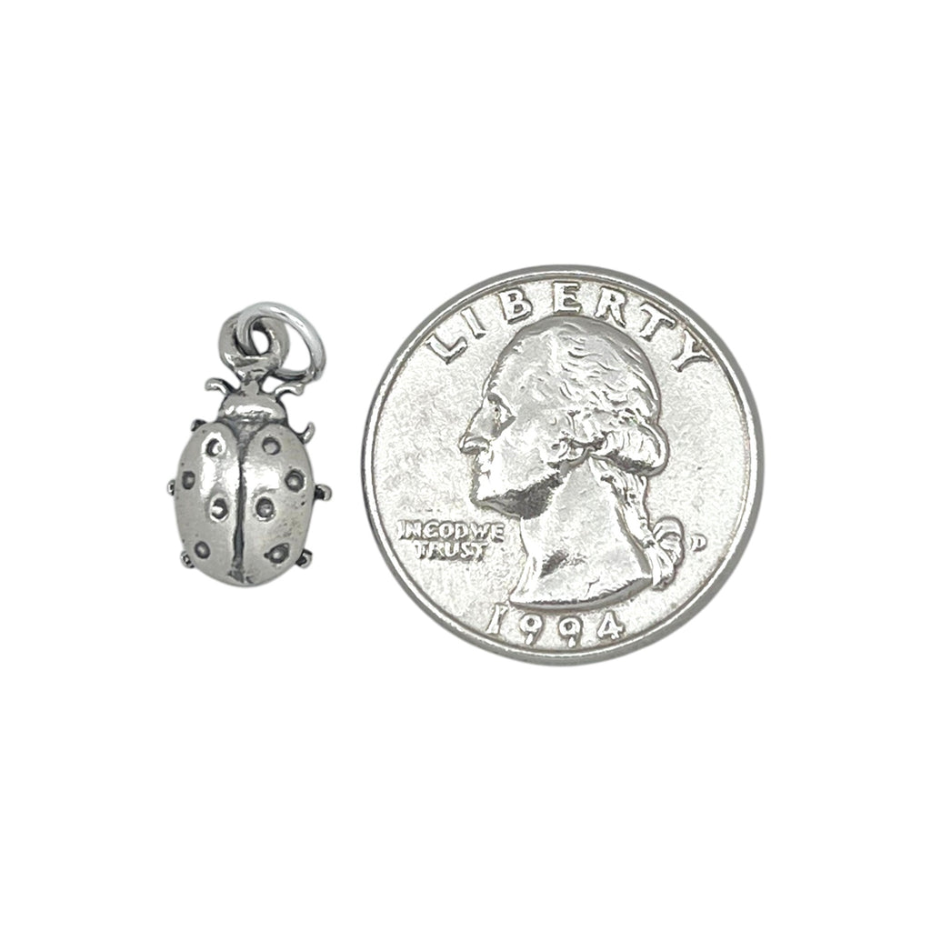 Ladybug Charm-1126