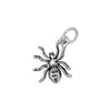 Spider Charm-36015