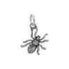 Spider Charm-36015