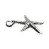 Starfish Charm-1569