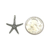 Starfish Charm-1569