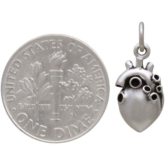 3D Anatomical Heart Charm-4161