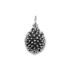 Hedgehog Charm-74441 - Kevin N Anna